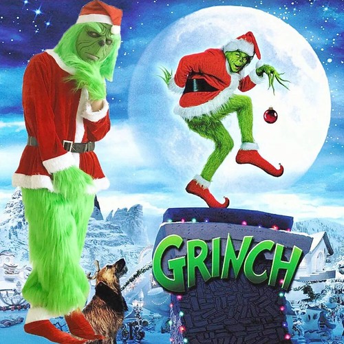 The grinch costume - 🎄the,