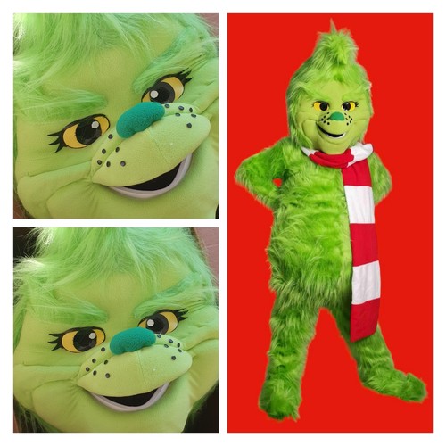 Grinch mascot adults costume - adults,