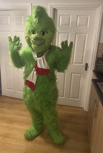 Adult grinch mascot - adult, costume