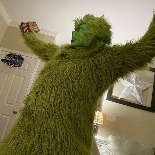 Green furry monster grinch - furry,