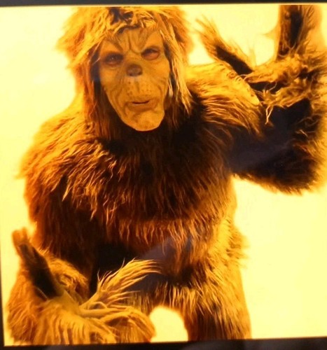 Grinch costume green animal - grinch,